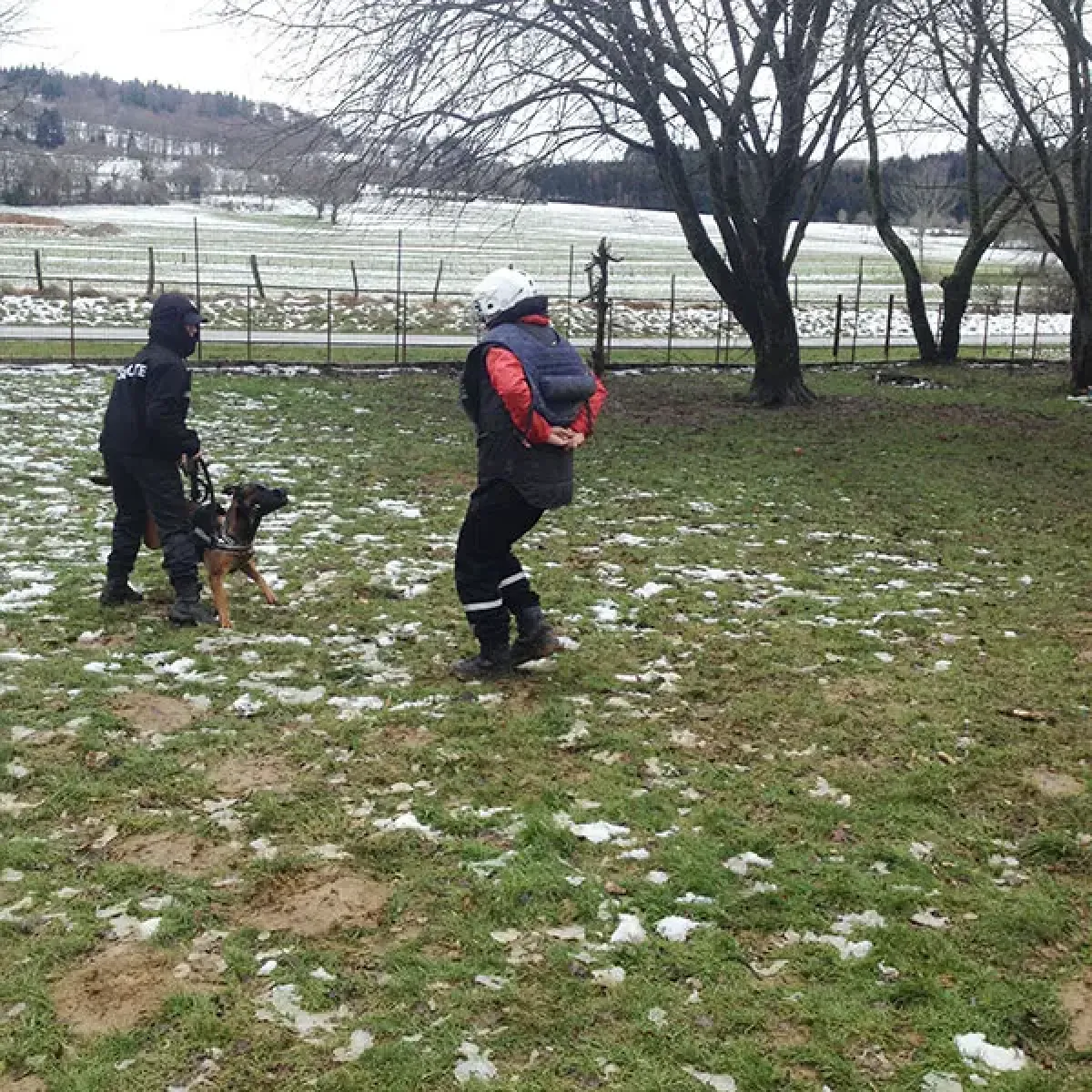 prestachiens education chien mordant haute saone