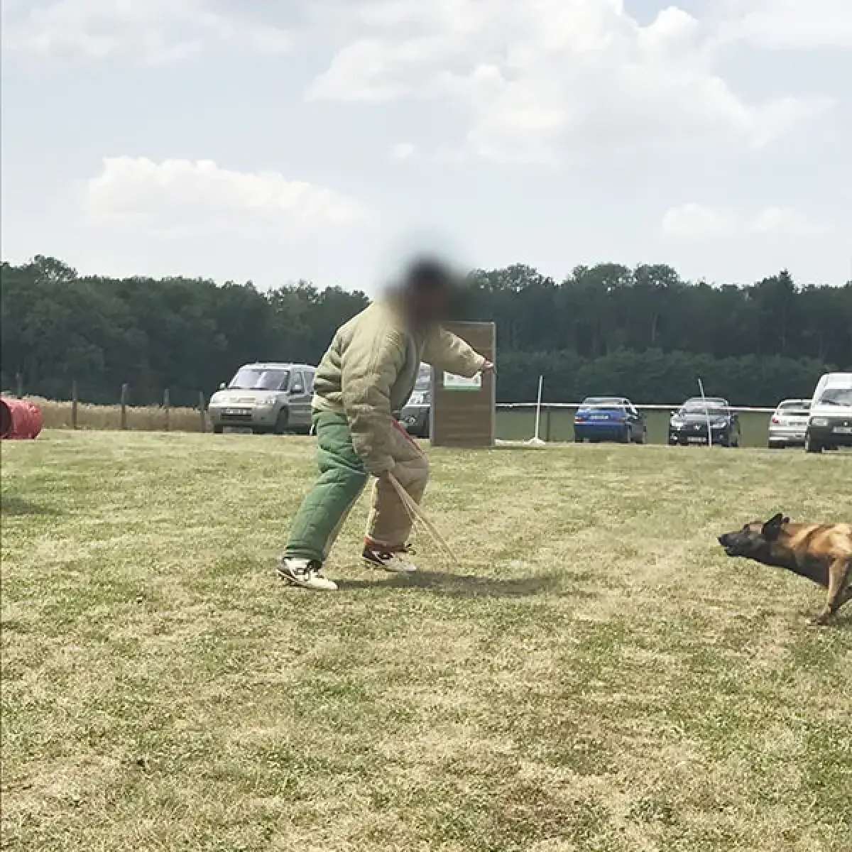 prestachiens education chien mordant haute saone