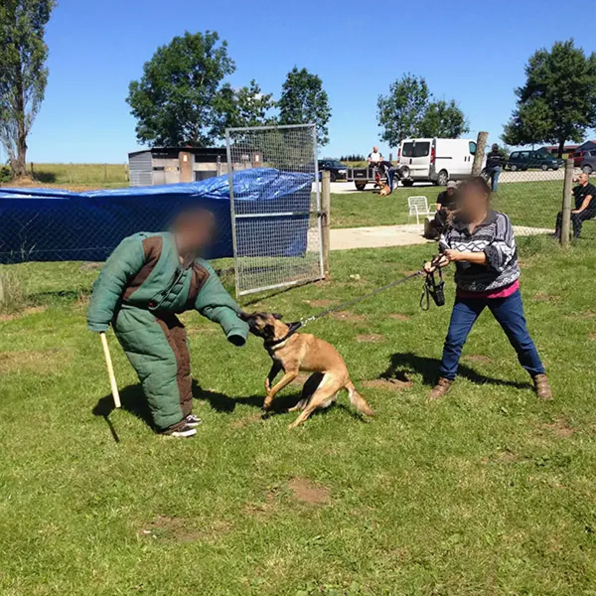 prestachiens education chien mordant haute saone