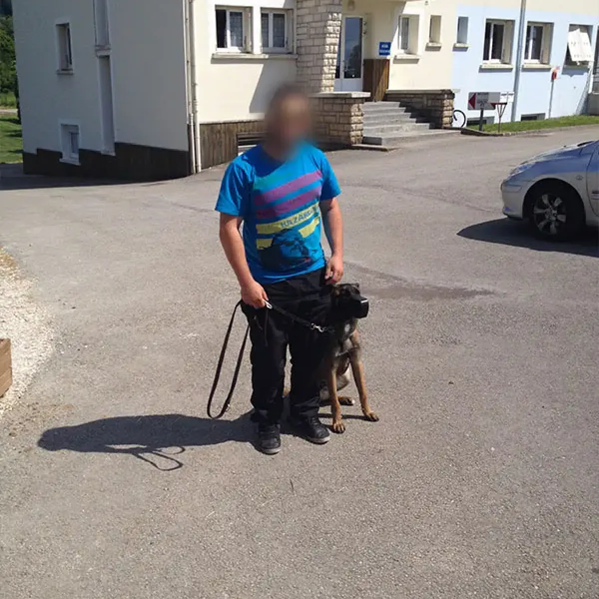 prestachiens education chien mordant haute saone