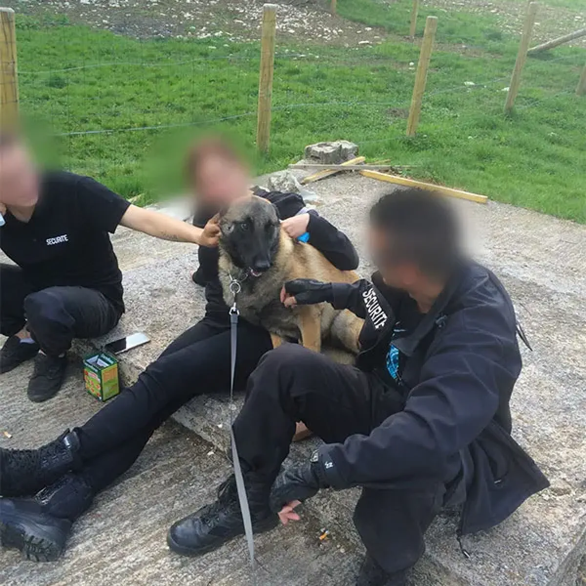 prestachiens education chien mordant haute saone