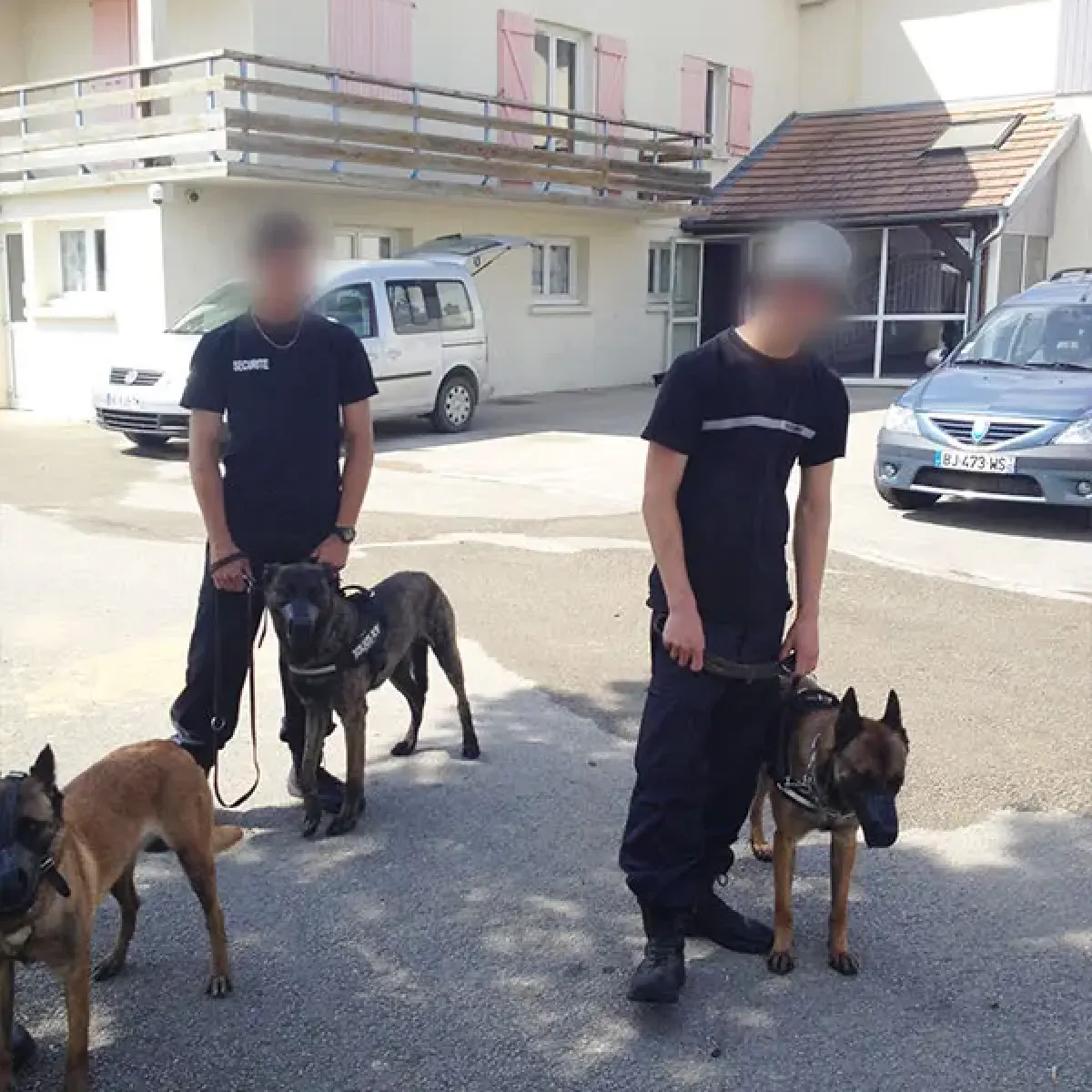 prestachiens education chien mordant haute saone