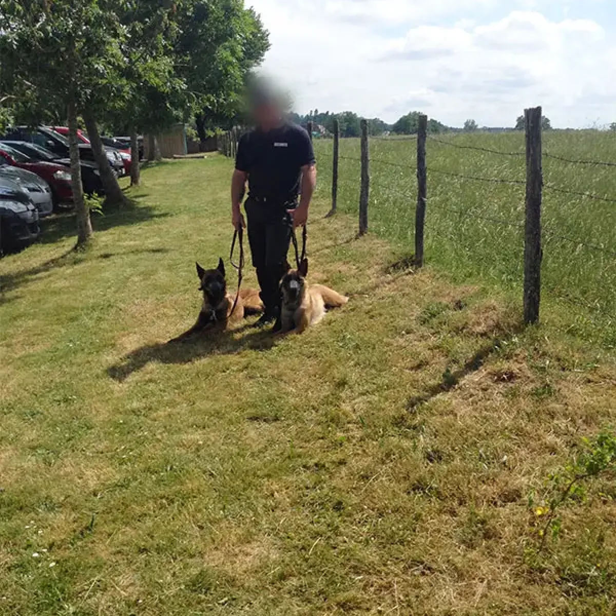 prestachiens education chien mordant haute saone
