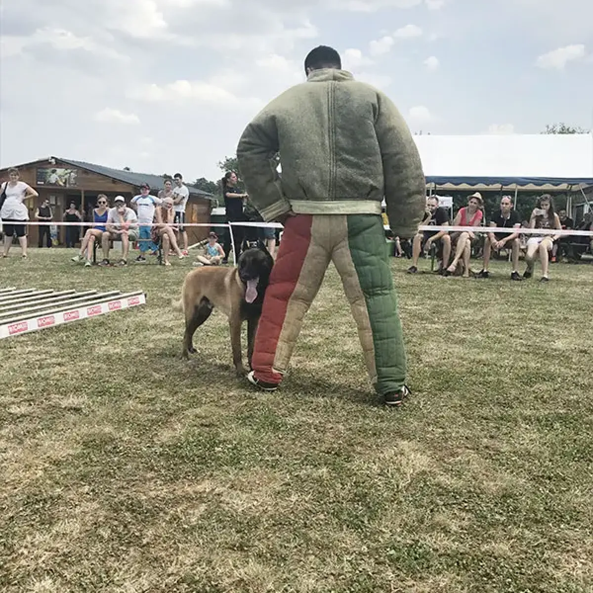 prestachiens education chien mordant haute saone