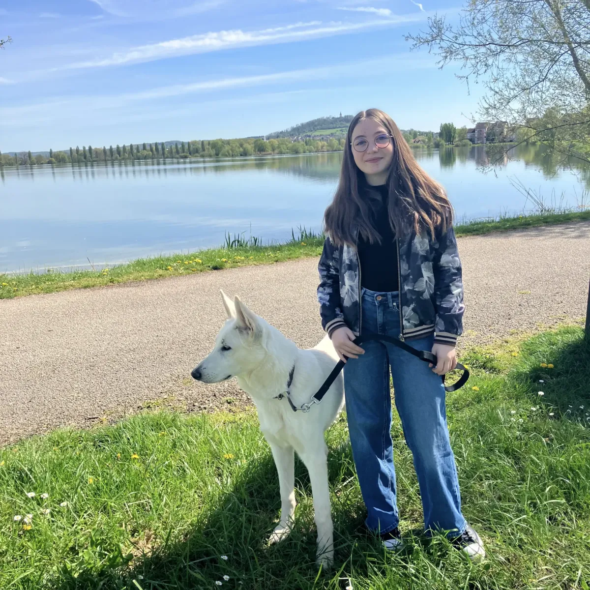 prestachiens education chien prestachiens education canine vesoul