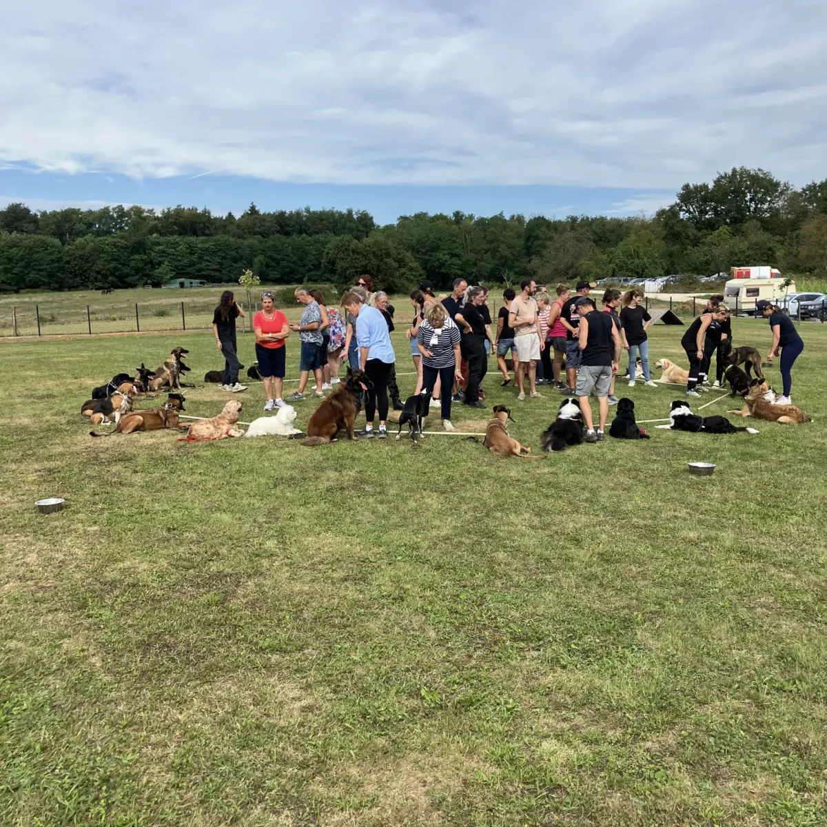 prestachiens education chien prestachiens education canine vesoul