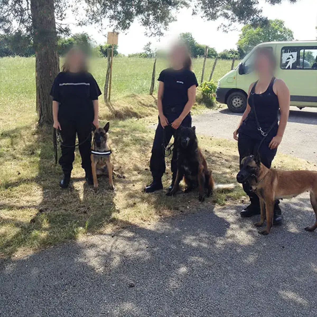 prestachiens education chien mordant haute saone