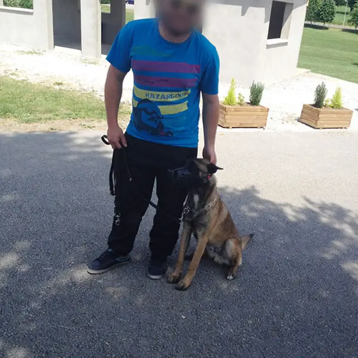 prestachiens education chien mordant haute saone