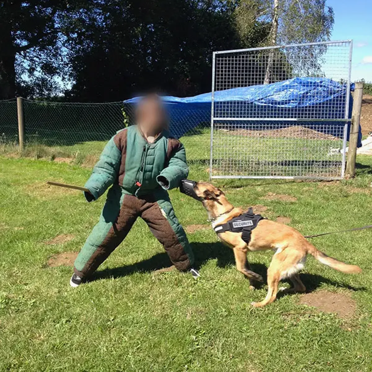 prestachiens education chien mordant haute saone