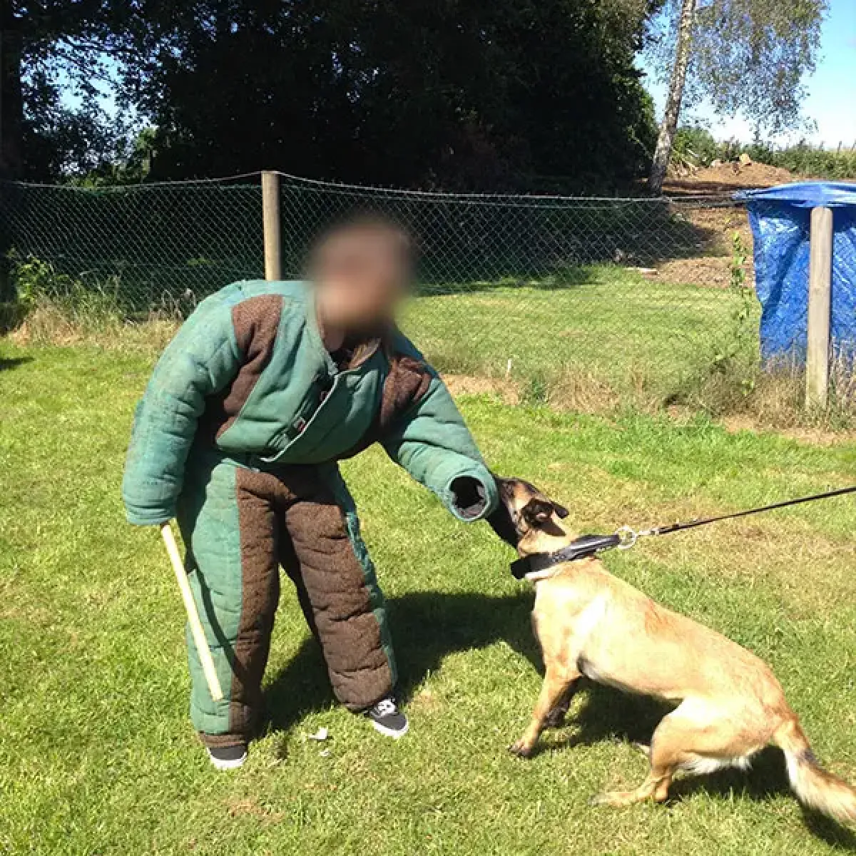 prestachiens education chien mordant haute saone