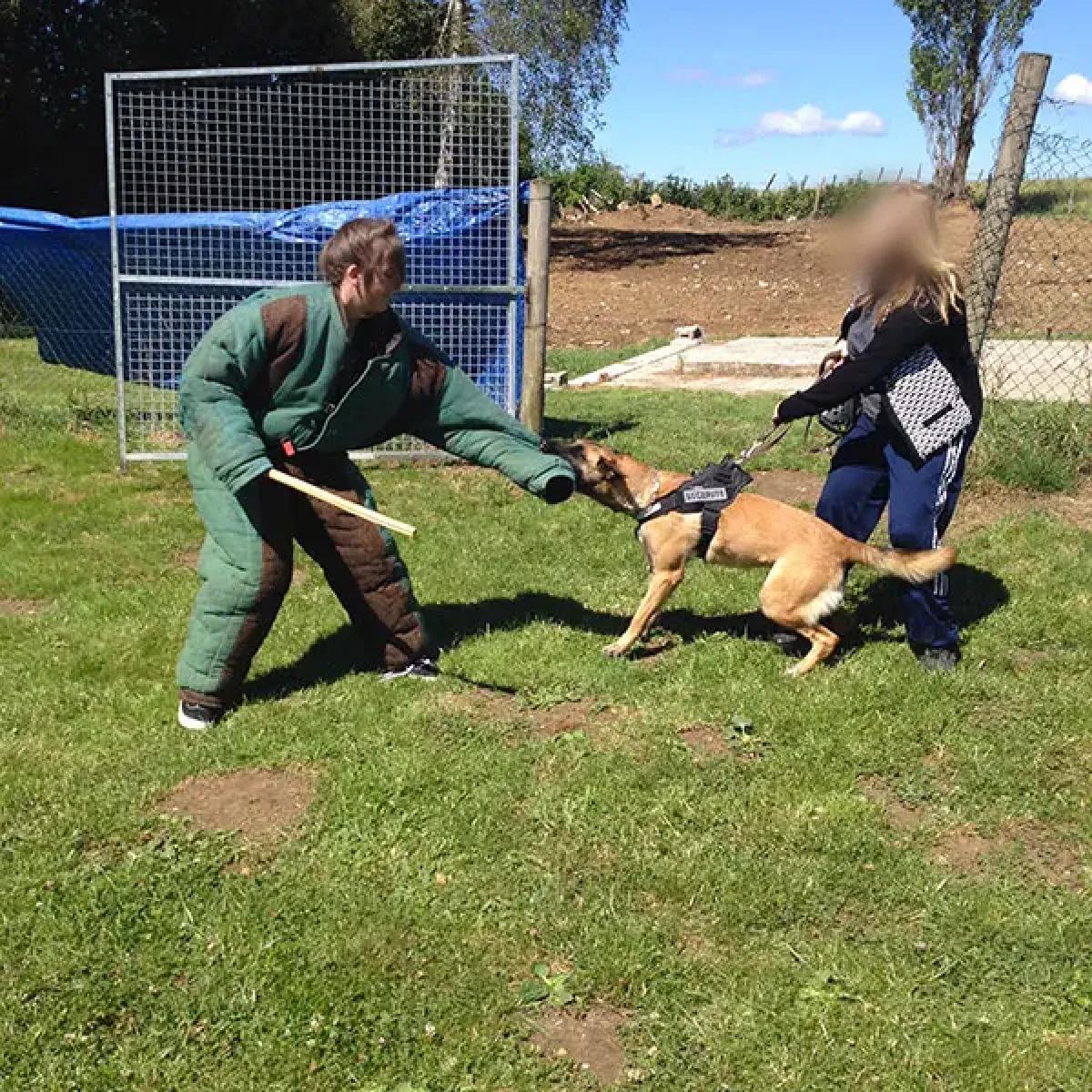 prestachiens education chien mordant haute saone
