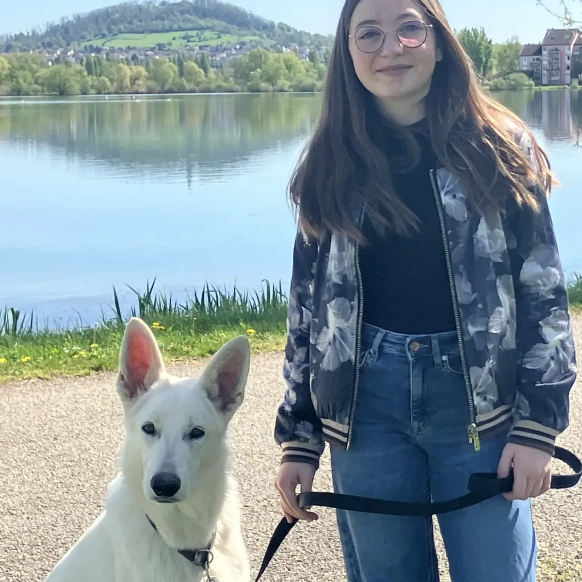 prestachiens education chien prestachiens education canine vesoul